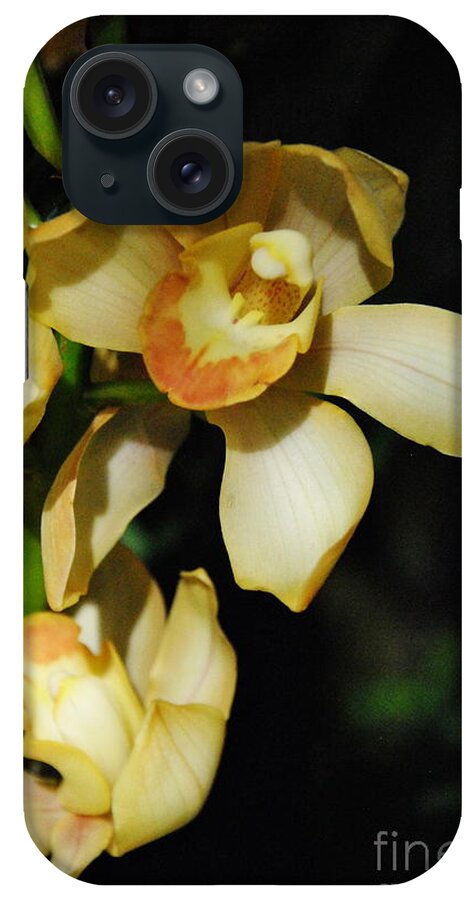 Flowers iPhone Case featuring the photograph  Yellow Cymbidium by Jacqueline M Lewis
