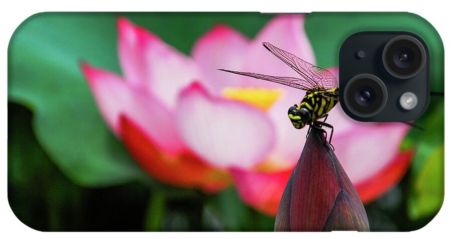 Flower iPhone Case featuring the photograph A dragonfly on lotus flower #1 by Carl Ning