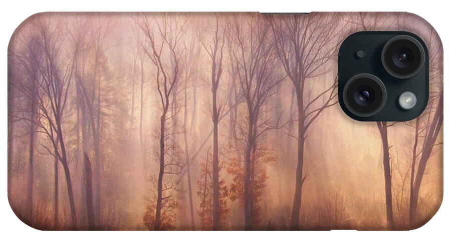 Tree iPhone Case featuring the photograph A Fresh Start #1 by Lori Deiter