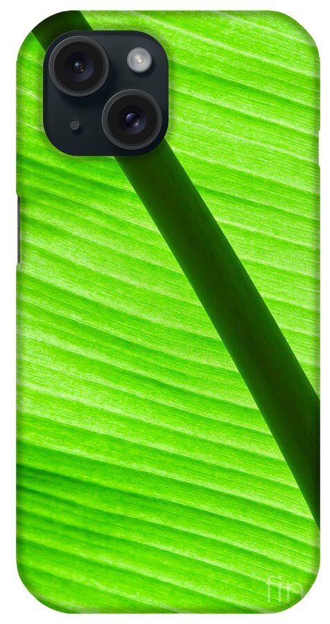 Banana iPhone Case featuring the photograph Abstract banana Leaf #1 by Yurix Sardinelly