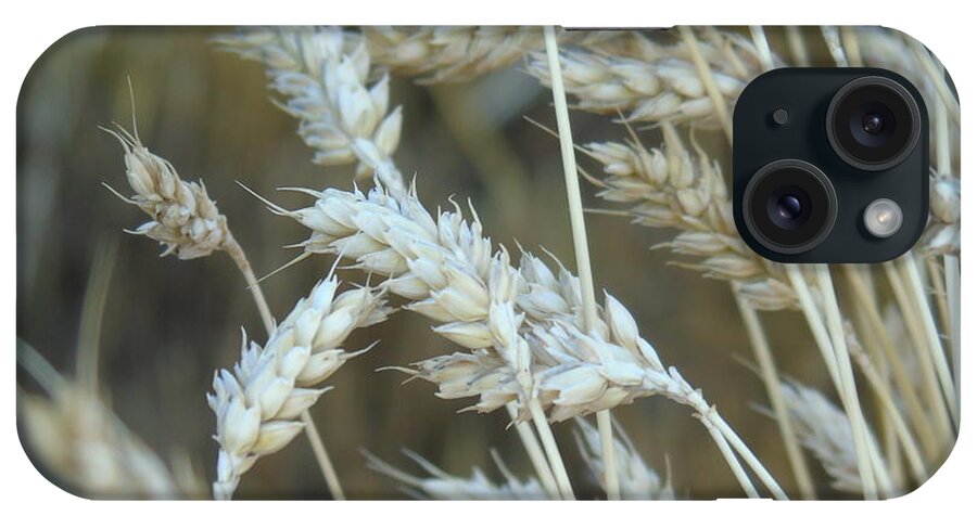 Wheat iPhone Case featuring the photograph Abstract photography #1 by Yohana Negusse