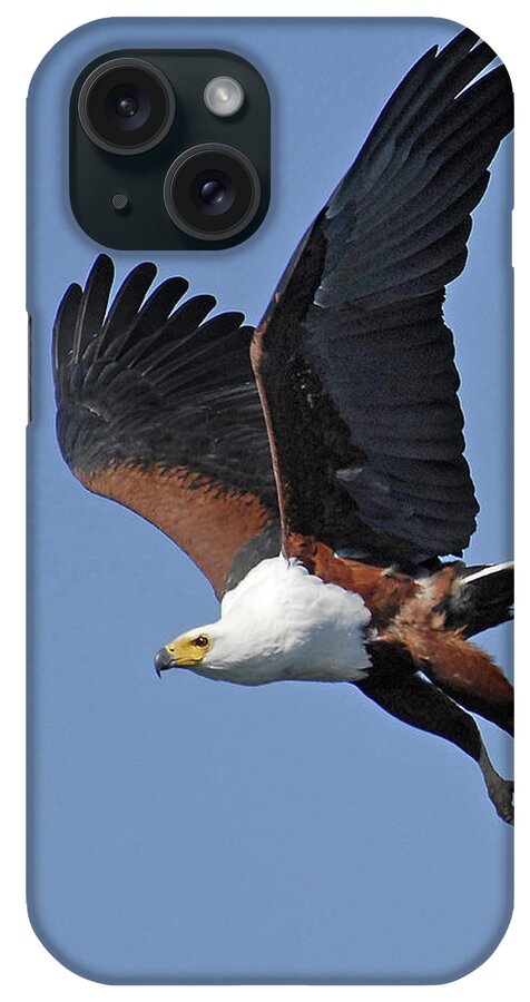 Africa iPhone Case featuring the photograph African Fish Eagle #1 by Ted Keller