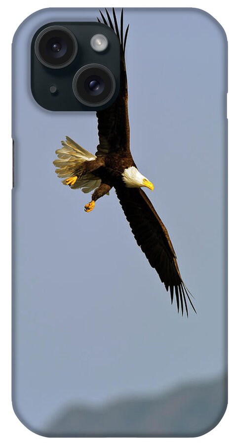 American iPhone Case featuring the photograph American Bald Eagle in flight #1 by Gary Langley