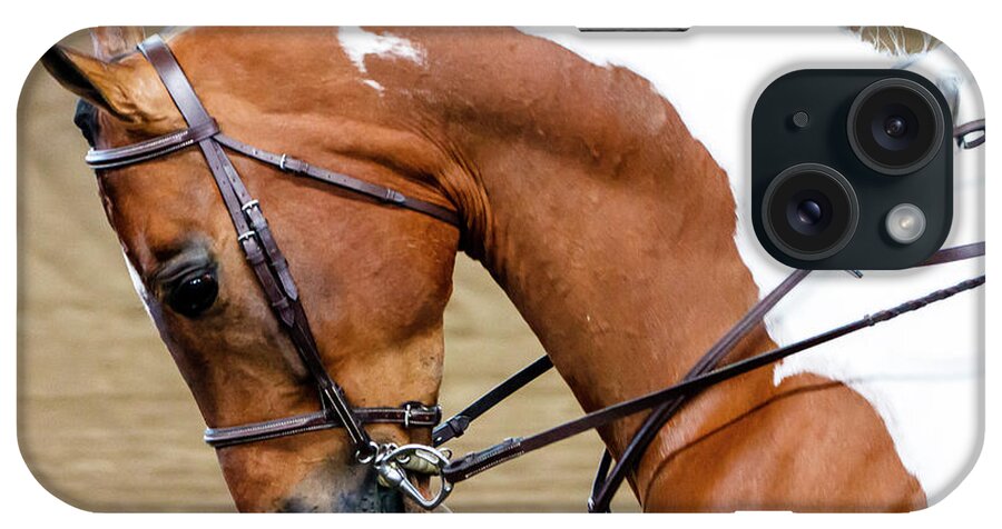 Horse iPhone Case featuring the photograph Arabian Horse Show #1 by Ben Graham