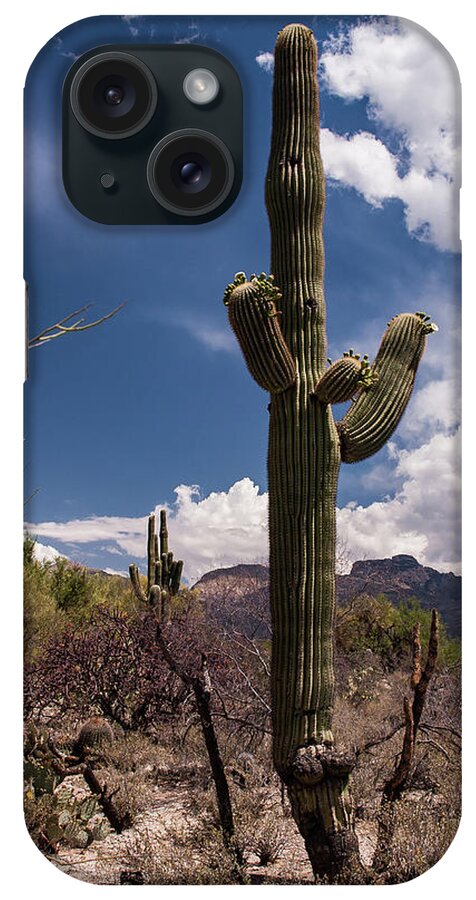Arizona iPhone Case featuring the photograph Arizona Cactus #2 by David Palmer