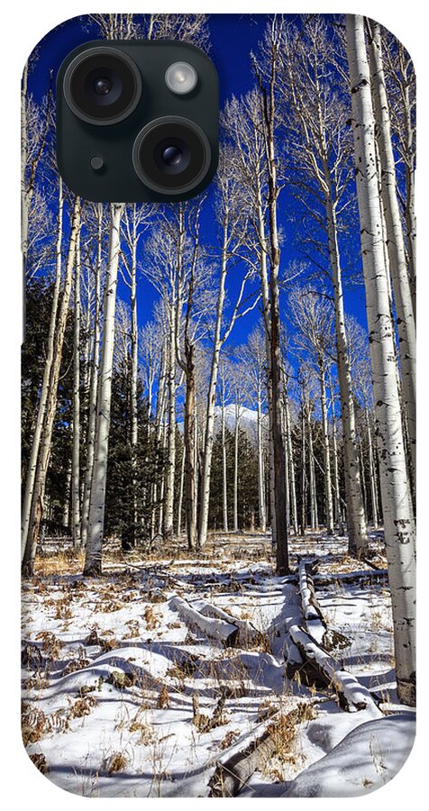 America iPhone Case featuring the photograph Aspen forest #2 by Alexey Stiop