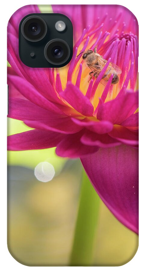 Lily iPhone Case featuring the photograph Attraction. by Usha Peddamatham