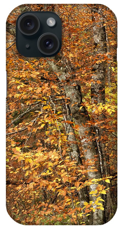 Autumn iPhone Case featuring the photograph Autumn Colors #1 by Andrew Soundarajan