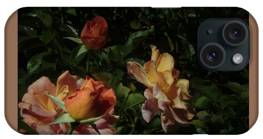 Balboa Park iPhone Case featuring the photograph Balboa Park Rose Garden Flower 8 #1 by Phyllis Spoor