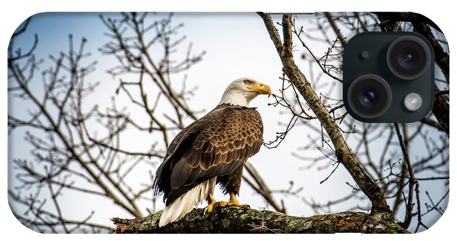 Bald Eagle iPhone Case featuring the photograph Bald Eagle Majesty #1 by Patrick Wolf