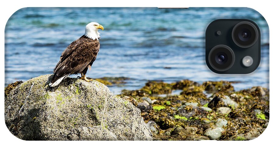 Bird iPhone Case featuring the digital art Bald Eagle #1 by Birdly Canada