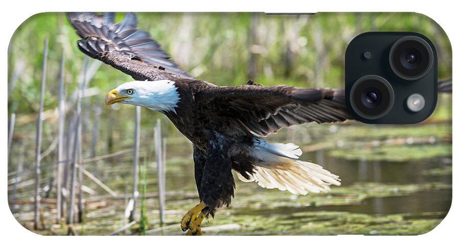 Bald Eagle iPhone Case featuring the photograph Bald Eagle-3175 by Steve Somerville