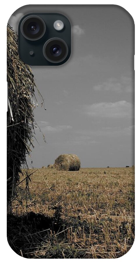 Color Desaturation iPhone Case featuring the photograph Bale by Dylan Punke