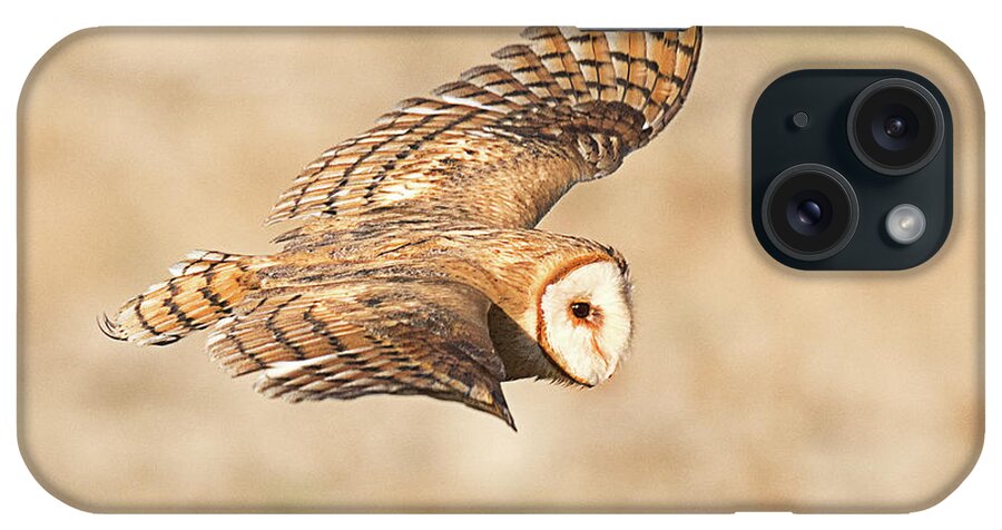 Bird iPhone Case featuring the photograph Barn Owl on the Wing #1 by Dennis Hammer
