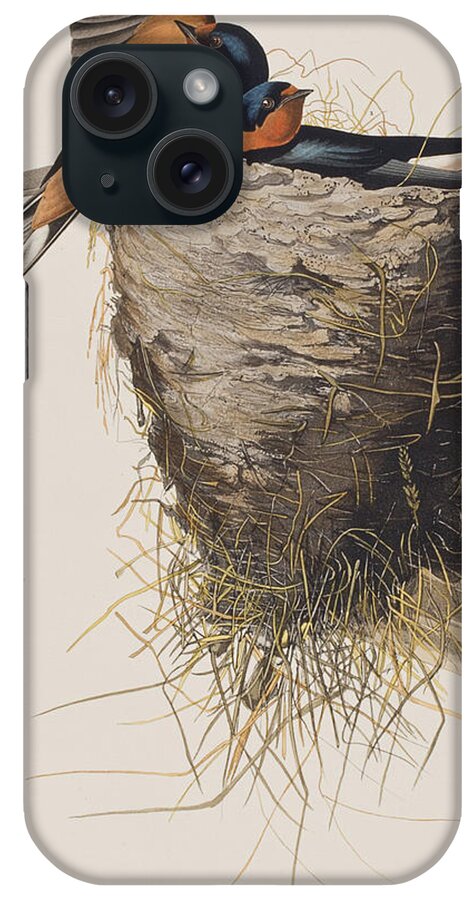 Barn Swallow iPhone Case featuring the painting Barn Swallow by John James Audubon