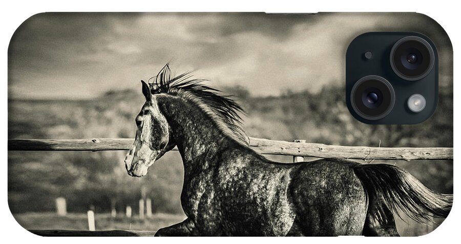 Horse iPhone Case featuring the photograph Beautiful strong stallion running by Dimitar Hristov