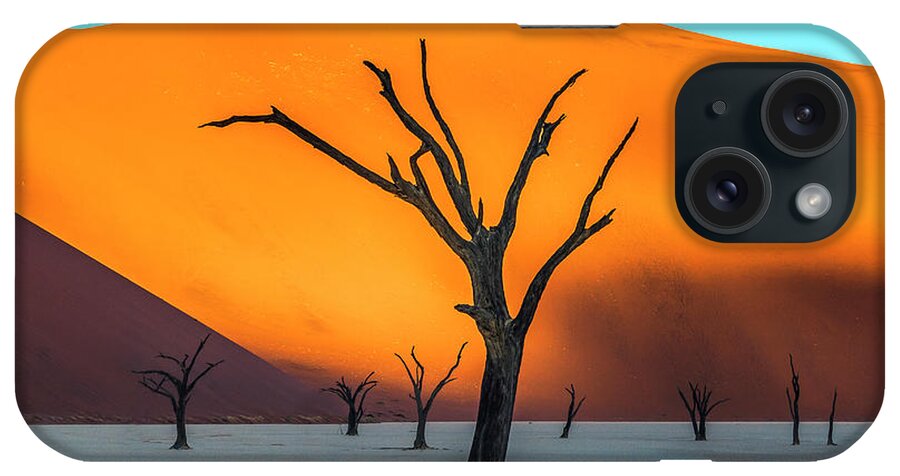 Deadvlei iPhone Case featuring the photograph Beauty lives forever. #2 by Usha Peddamatham