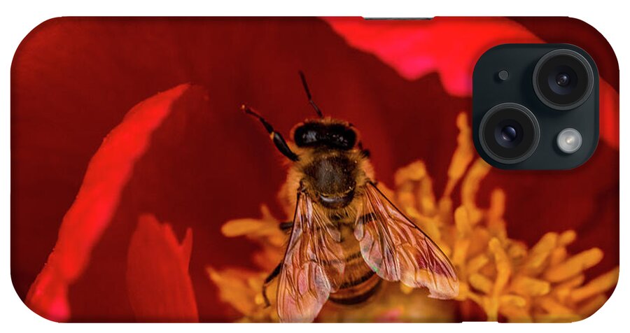 Jay Stockhaus iPhone Case featuring the photograph Bee #1 by Jay Stockhaus