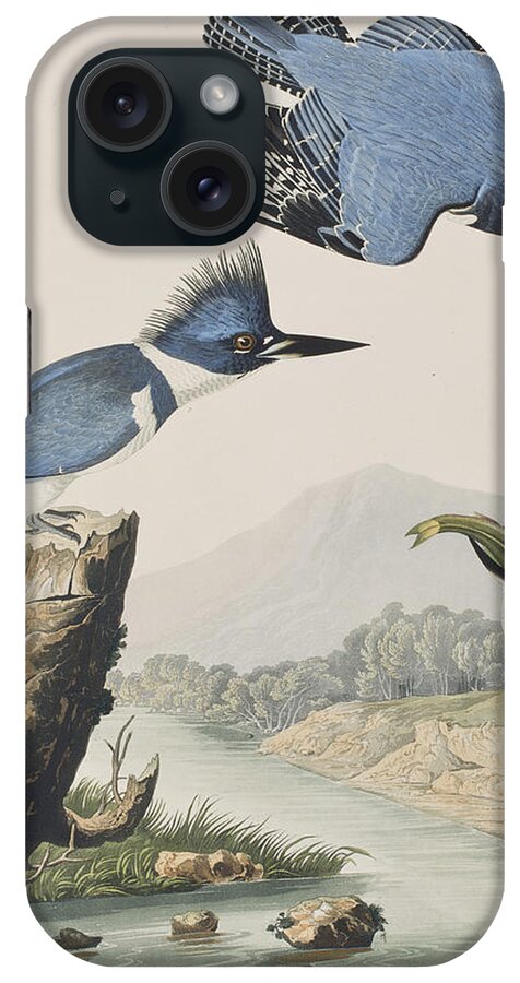 Belted Kingfisher iPhone Case featuring the painting Belted Kingfisher by John James Audubon