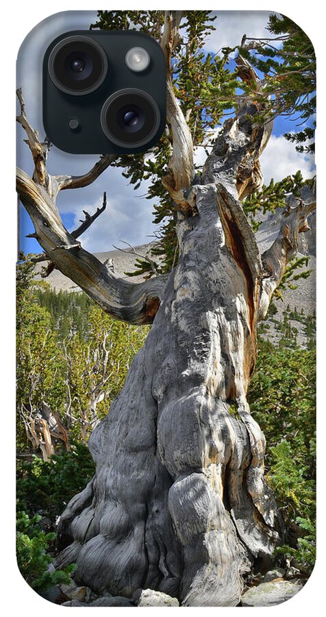 Great Basin National Park iPhone Case featuring the photograph Big Fella #1 by Ray Mathis
