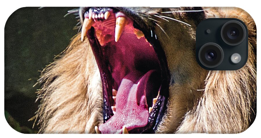 Lion iPhone Case featuring the photograph Big Yawn #1 by William Bitman