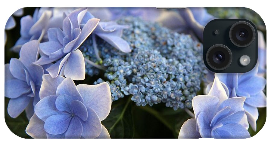 Hydrangea iPhone Case featuring the photograph Blue hydrangea #1 by Yumi Johnson