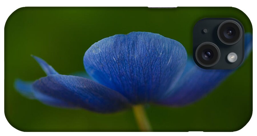 Flower iPhone Case featuring the photograph Blue Star #1 by Carolyn D'Alessandro