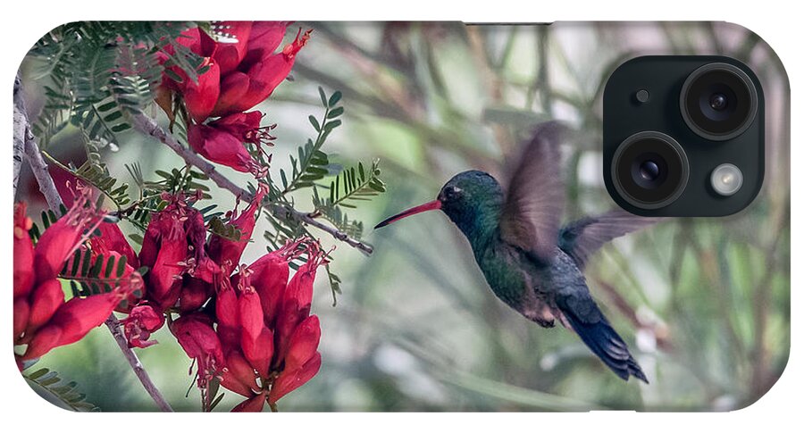 Broad-billed Hummingbird iPhone Case featuring the photograph Broad-billed Hummingbird #1 by Tam Ryan