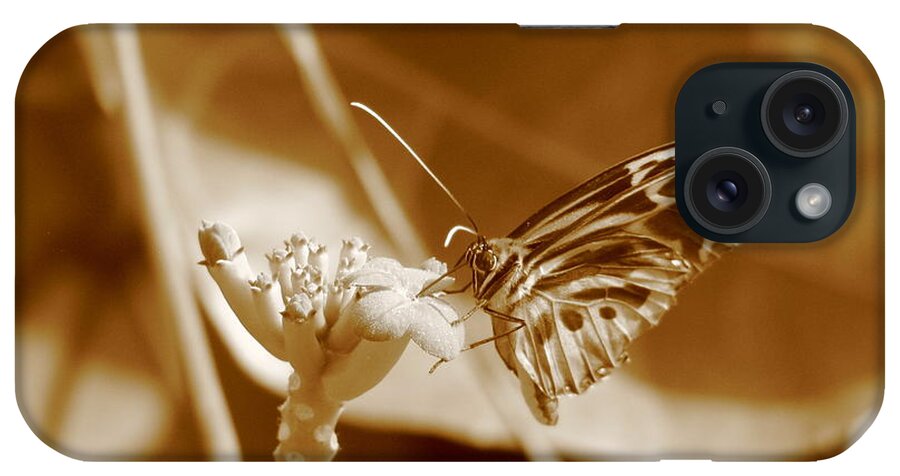 Butterfly iPhone Case featuring the photograph Butterfly #1 by Michael Krek