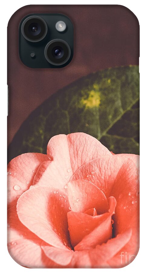  iPhone Case featuring the photograph Camellia #1 by Andrea Anderegg