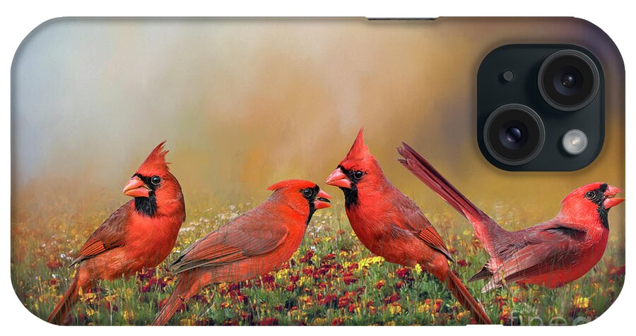 Cardinals iPhone Case featuring the photograph Cardinal Quartet #1 by Bonnie Barry