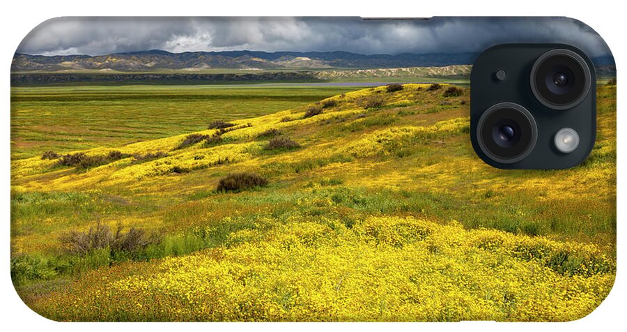 Carrizo iPhone Case featuring the photograph Carrizo Wildflower Bloom #1 by Rick Pisio