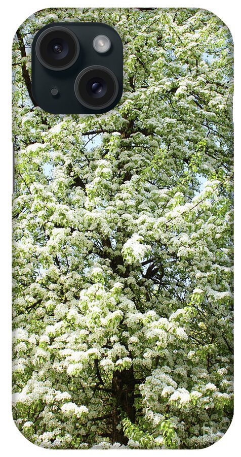 Spring iPhone Case featuring the photograph Cherry tree in blossom #3 by Irina Afonskaya