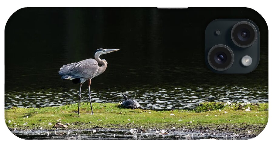 Great Blue Heron iPhone Case featuring the photograph Chesapeake Bay Great Blue Heron #1 by Patrick Wolf