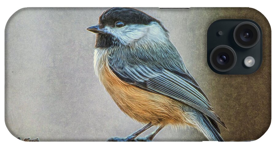 Chicadee iPhone Case featuring the photograph Chicadee #1 by Cathy Kovarik