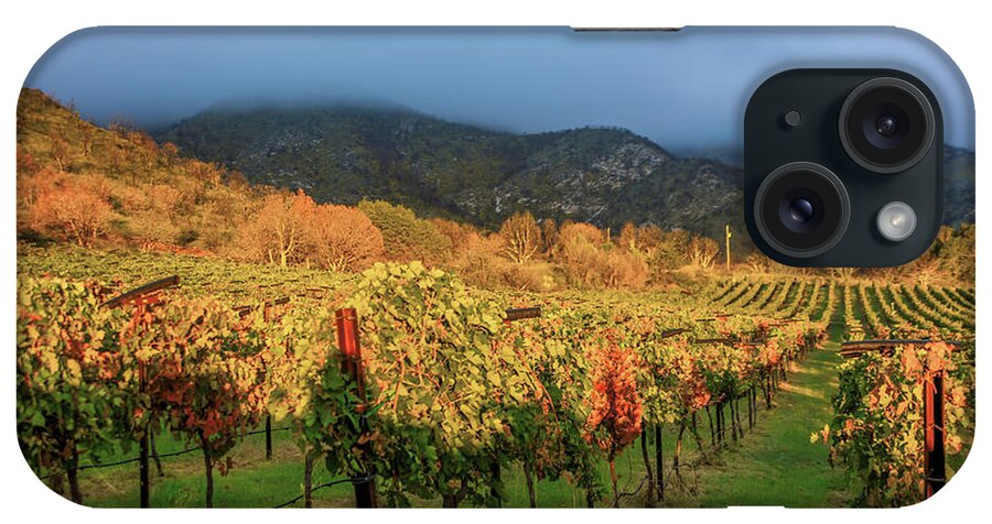Vines iPhone Case featuring the photograph Colibri Morning #2 by Kent Nancollas