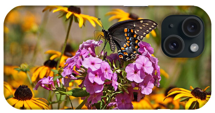 Butterfly iPhone Case featuring the photograph Colorful #1 by Sandy Keeton
