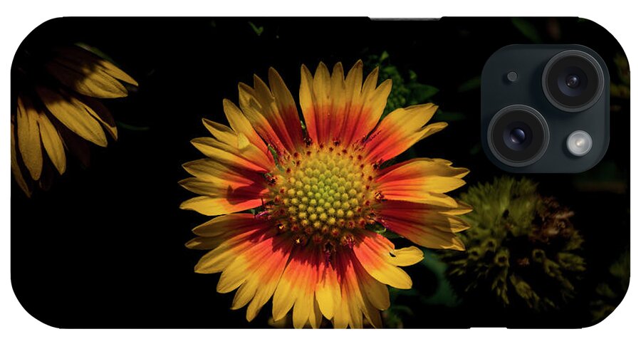 Jay Stockhaus iPhone Case featuring the photograph Coneflower #1 by Jay Stockhaus