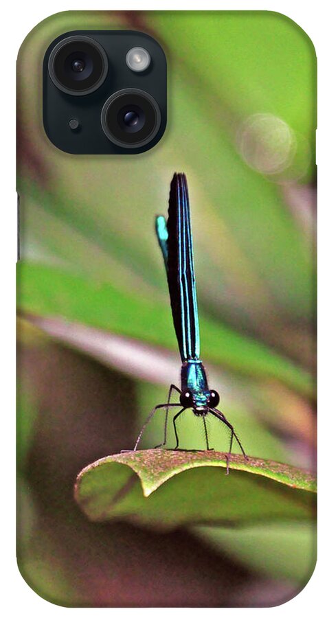 Nature iPhone Case featuring the photograph Damselfly #1 by Kay Lovingood