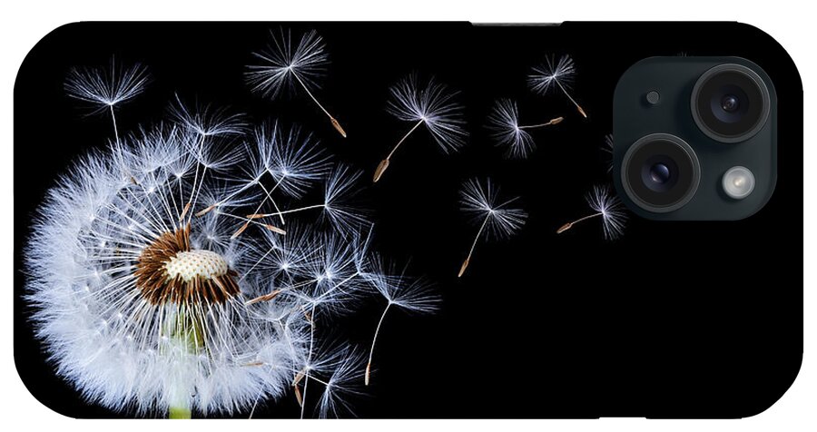 Abstract iPhone Case featuring the photograph Dandelion on black background #1 by Bess Hamiti