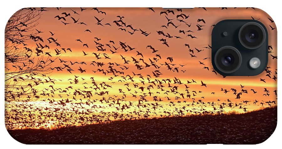 Sunrise iPhone Case featuring the photograph Dawn Departure #1 by Dan Myers