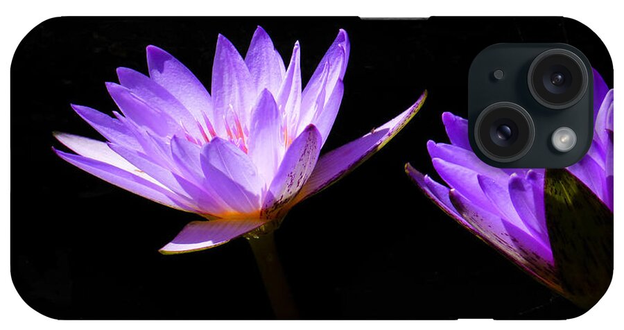 Water Lily iPhone Case featuring the photograph Deep Purple #1 by Rosalie Scanlon