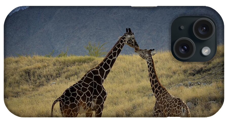Desert iPhone Case featuring the photograph Desert Palm Giraffe 001 #1 by Guy Hoffman