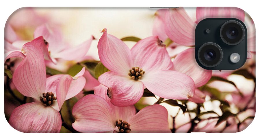 Dogwood iPhone Case featuring the photograph Dogwood Delight #1 by Jessica Jenney