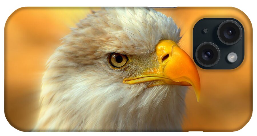 American Bald Eagle iPhone Case featuring the photograph Eagle 10 #1 by Marty Koch