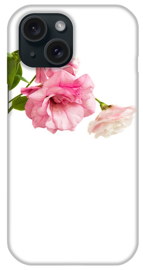 Eustoma iPhone Case featuring the photograph Eustoma #1 by Anastasy Yarmolovich