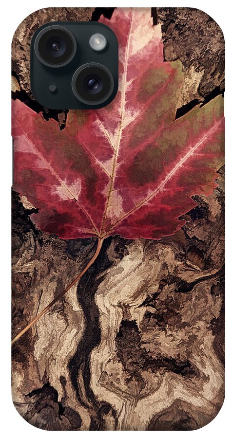 Leaf iPhone Case featuring the photograph Fallen Leaf #1 by Leda Robertson