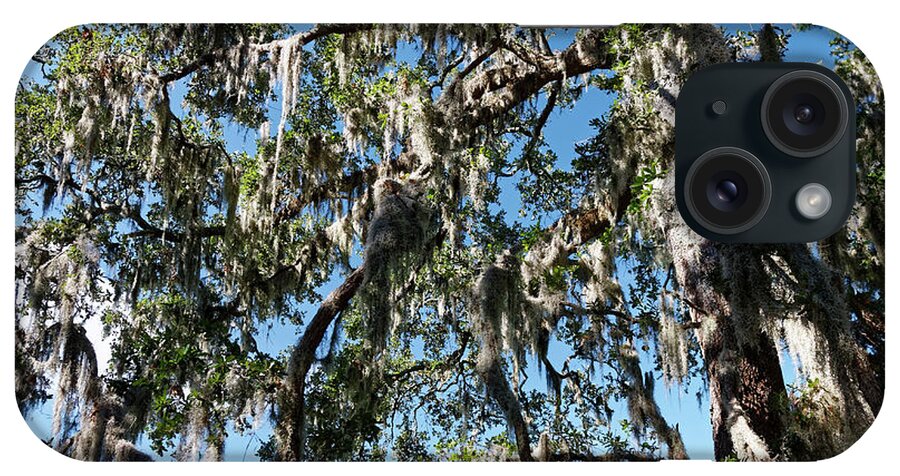 Spanish Moss On Trees iPhone Case featuring the photograph Feathery Spanish Moss #1 by Sally Weigand