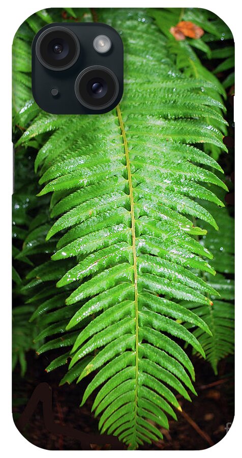 Rain iPhone Case featuring the photograph Fern #1 by Bill Thomson