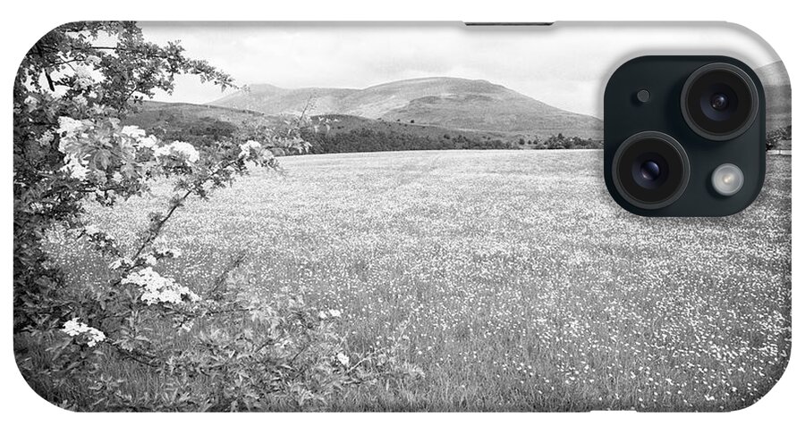 Underskiddaw iPhone Case featuring the photograph Field Of Buttercups Growing In Farmland Under Crop Rotation Underskiddaw Keswick Cumbria England Uk #1 by Joe Fox